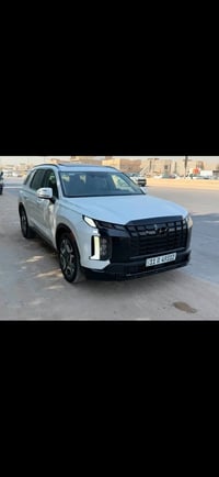 بنسايد • ٢٠٢٤ • وارد أمريكي