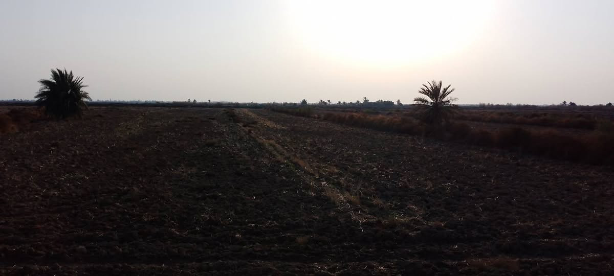 السلام عليكم كاع زراعيه عد ال عواد للبيع مساحة الكاع خمسه دونم رقم للتواصل ***********
