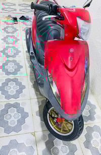 ماكس • كفالة سنة • كوت تموز