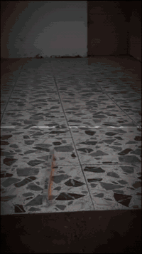 كادر سيراميك متفرغ حاليا بانسب الاسعار
للتواصل او الاستفسار 
مراسله الخاص او الاتصال على الرقم 
***********
