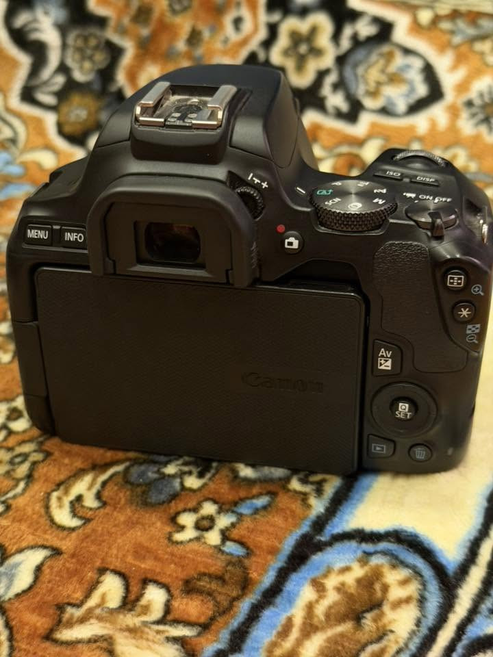السلام عليكم ورحمة الله وبركاته 
كامرة كانون EOS 250D
مع الملحقات 

عدسة كانون EF 75-300mm

عدسة كانون EFS 18-55mm 

عدسة كانون 50mm

جاهز كاترير للإضاءة الخارجية

مع البطارية والشاحنة والرام وتحويلة سحب الصور من الرام  

النضافة من ٩٩ إلى ١٠٠ وضمان مابيه اي شخط جدا حدا نضيفة واستخدام شخصي قليل جدا 

السعر ٨٢٥ وبي مجال بسيط 

للتواصل والاستفسار ***********
متوفر واتساب 
المكان بغداد

