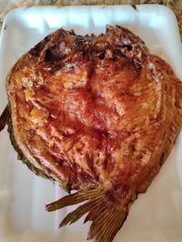 اسماك جديدة • دجاج مشوي • العباس والنجفية