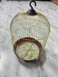 قفص • كركوك