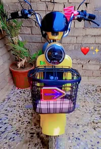 دراجة شحن • حجم ١٤ • بيها مجال