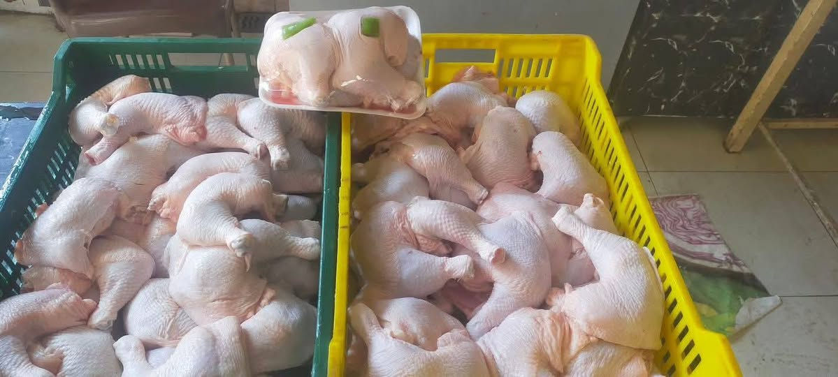 السلام عليكم دجاج ذبح يوم بيومه 

كيلو الافخاذ ب5

كيلو عصى طبل ب8

كيلو صدر بعضم ب5

كيلو صدر مسحب ب8

كيلو اجنحه ب5

كيلو كبد صافي ب5

كيلو صدر مثروم ب8

كيلو تكة متبله ب9

كيلو اجنحه متبله ب6

كيلو حواصل صافي ب4

كيلو ارجل دجاج ب الف

 توصيلنه الفين

رقم لحجز مندوبة رنا البدري

***********
