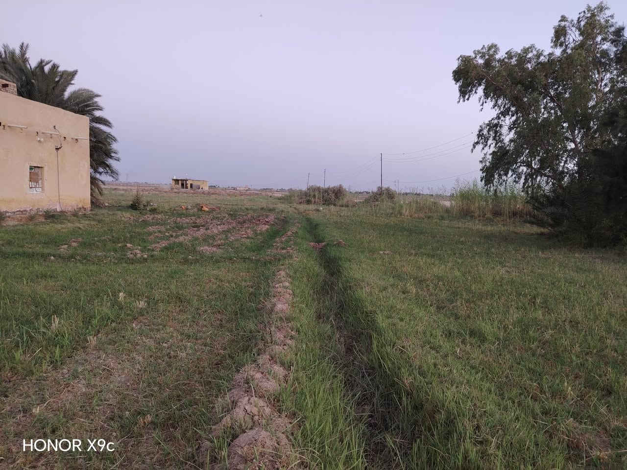 بسم الله الرحمن الرحيم 
4 دوانم مع بيت للبيع
 صوب بني ركاب 
/طريق المشايه/شارع ال بريع (التبليط) 
خدمات /ماء/ كهرباء/ ماء سقي وماء اسألة 
دوانم مزرعة اشجار فواكه ونخيل
السعر 75وبيه مجالبسيط 
للتواصل الاتصال على الارقام 
***********
***********
او مراسلة الصفحه 
#هادي_الحجيمي
