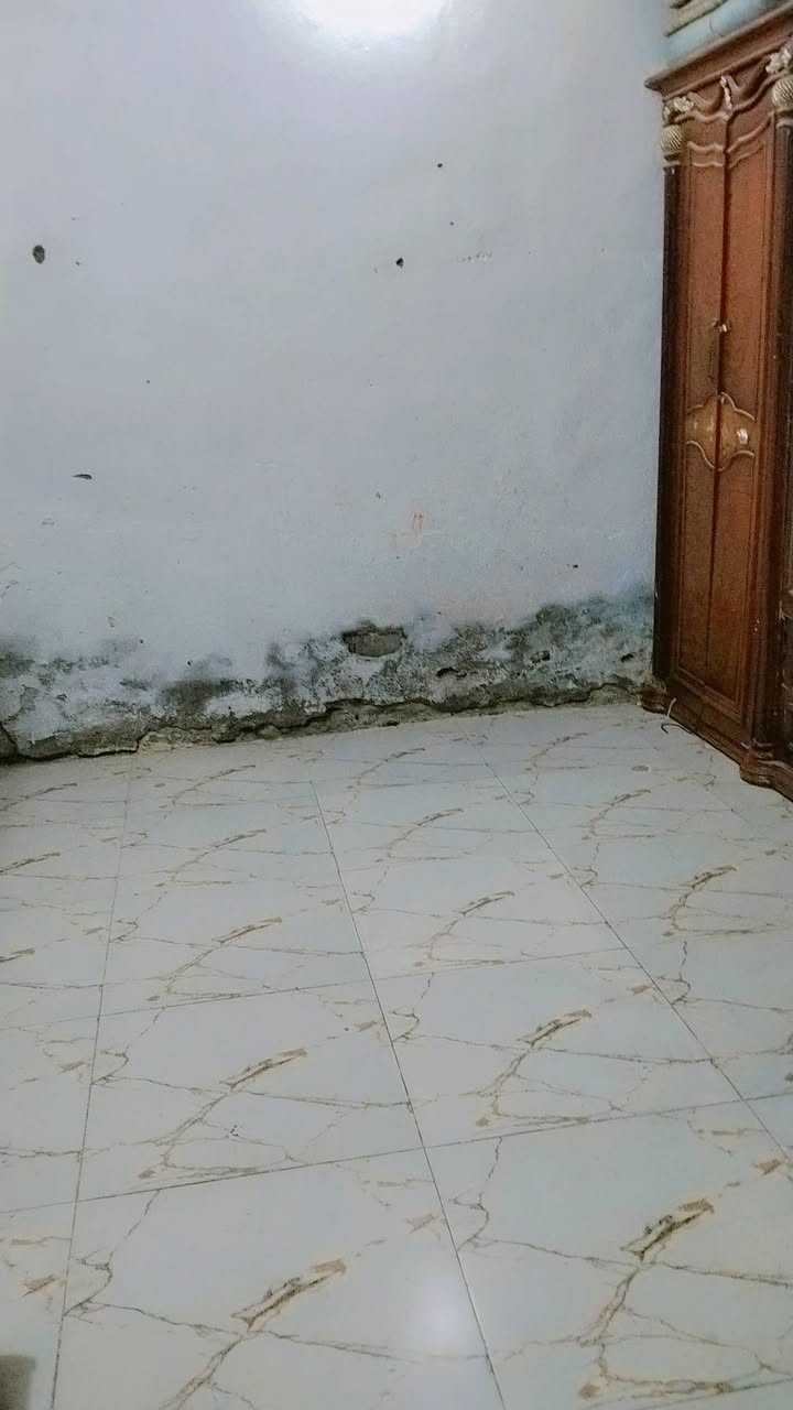 السلام عليكم بيت تجاوز بلفداء مساحت البيت150اعكاده والارضيه سيراميك بيت بي ديوانيه وصاله وغرفه ومطبخ صحيات وطارمه جبيره ***********

