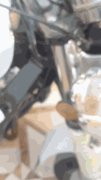 ستوته ٢٠٢٢ • أوراق أصولي • كفاله عامه