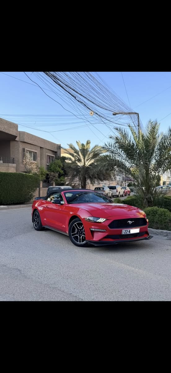 السلام عليكم
Mustang Premium 2022 1/1
ايكوبوست بجم كبس 
رقم اربيل باسمي
موصفات 
كشف
بصمه 
ترحيب 
تشغيل عن بعد 
كشنات تدفئه
كشنات تبريد 
سترين تدفئه  
وضعيات قياده
رادار امامي 
رادار جانبي نقط عمياء 
حساسات اماميه 
حساسات خلفيه 
شاشه كبيره 
وبعد بيها موصفات فول موصفات اعلى شي السياره 

سياره جديده بمعنى الكلمه محرك كفاله كير كفاله صدرها كهربائياتها تخم تاير جديد تبريد ثلج سياره كفاله بوضع شركه ادامه على المحرك من زيوت وفلاتر وبلكات 

طختها باب السايق والجاملغ وره السايق والباقي كله كفاله ونفسه مصلح يعني سياره بيها صبغ جاملغ خلفي وباب السايق والباقي كله كفاله سياره بجم كبس سياره مناسبه وحلوه مقارنه بالسيارات الي بيهم بجم وخمس قطع شوف السوك يلا تعلق وتخابر 🤍

رايدها ب166 ورجاء مو شراي لتعلق وتعبني كلمه طيبه منك واعبر المنشور حبيبي انت🤍
للاستفسار ***********
مكاني بغداد الوزيرية
