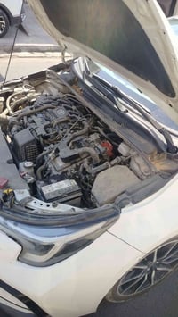 عاطل ب القادسيه قريب ساحه قحطان وين الفزعه 07825443697