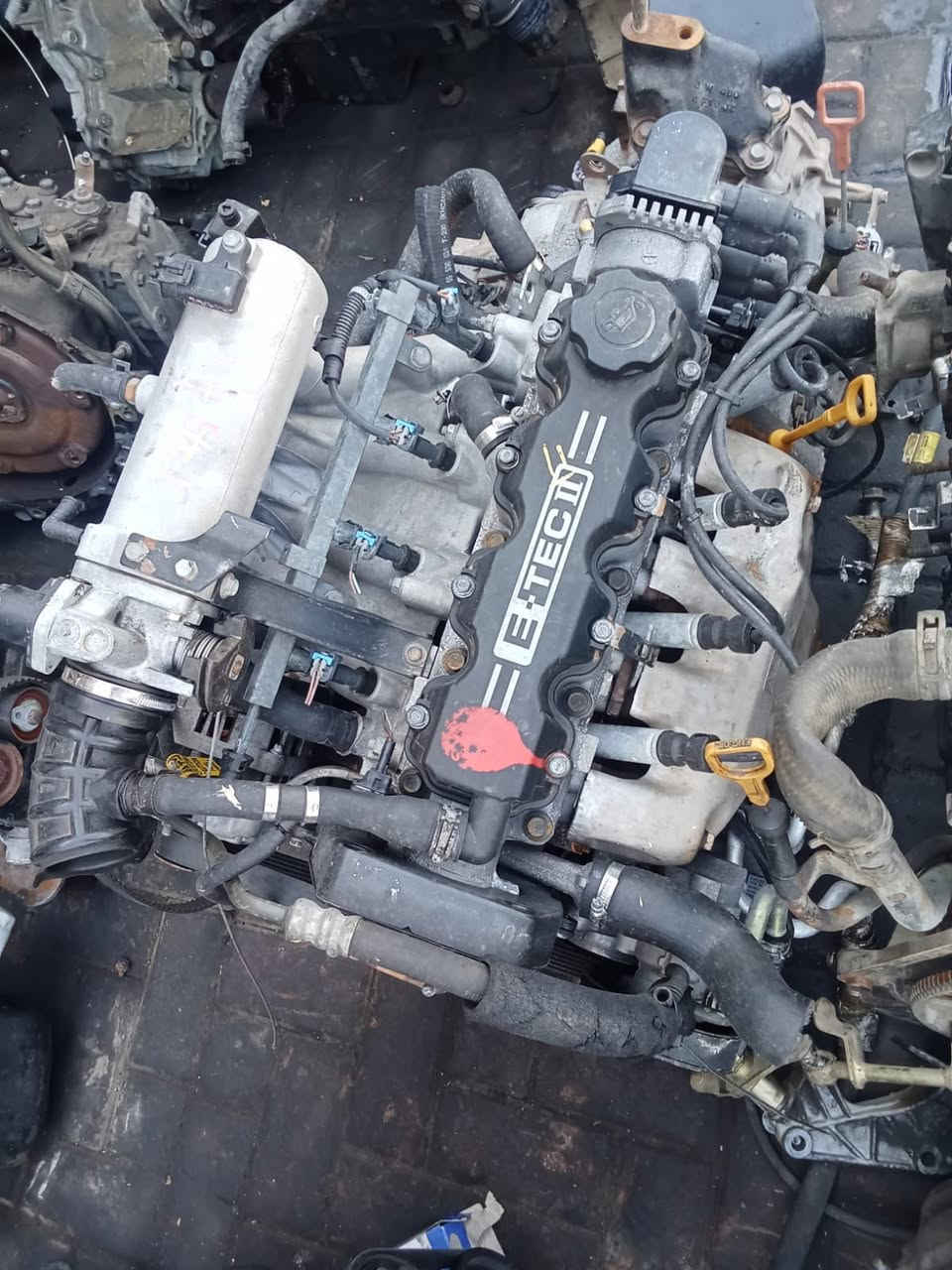 السلام عليكم توفر لدينا جميع المحركات 
افيو مفتوح . سيفيا مفتوح. كير اوتماتيك سيفيا 
محركات اوبل ١٦٠٠ و٢٠٠٠. محرك استرا صدامية
محرك اوبل مسكر.. محركات نوبرا 
بغداد/الطالبية 
للاستفسار على هذا رقم 
***********
