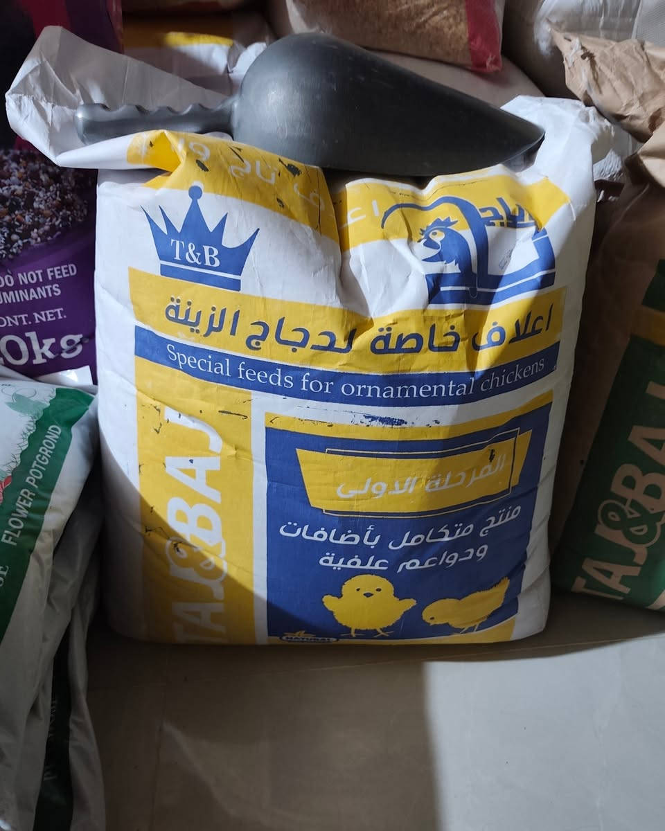 بفضل الله توفر 
علف تاج وباج 👑علف درجة اولى
توفر بثلاث مراحل 
المرحلة الاولى 
المرحلة الثانية 
المرحلة الثالثة 

و #أنا_أنافس_نفسي_فقط و #لا_أنافس_أحد 👨‍🌾🌕🌕
الزراعة ليست مجرد عمل، بل هي حياة تنبض": تعكس ارتباط الإنسان بالأرض كمصدر للغذاء والجمال🥀

#للطلب والاستفسار مراسلة بريد الصفحة 👍🏻 او الاتصال على الارقام التاليه 
*********** واتساب 
***********اتصال 
اوقات الدوام من الساعه 9 صباحا الى الساعة 11 مساءا 
الجمعه فقط الصبح نفتح العصر عطلة  رسمية 🙂

#بإداره_عمار عمر  الخليفاوي ✔️🟠

#عنواننا :
#الأنبار_ الرمادي _الخالدية شارع_ ابو فليس_ نزلة ابو فليس 800 متر على اليسار 👈 مقابل_ صيدلية_نور _الشفاء✔️✅✅

اللهم 🤲🏻 لا تحرمنا من خمس، سترك، ورزقك ، وعفوك، ورضاك، وحسن الخاتمة."... يارب 🤲🏻 
طيب الله اوقاتكم بالخير و تآلف القلوب

#زورونا وستجدون الافضل👍🏻.
