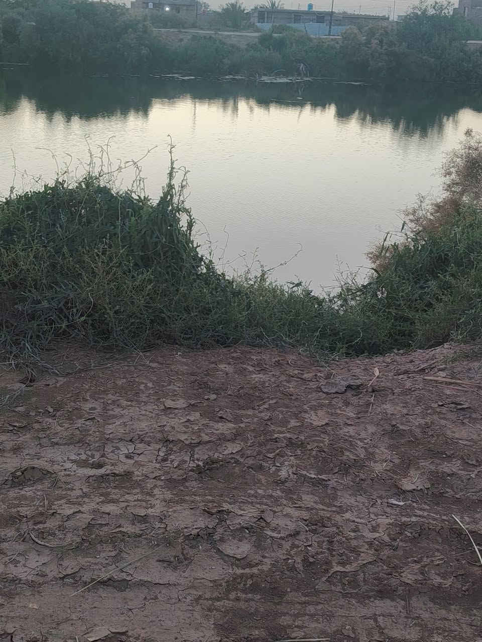 سلام وعليكم أرض زراعية لل بيع منطقت الخنزيري شارع مدينه جبايش قربيه عل شارع المشايه قريبه عل صيطره الخنزيري مدرسه ابتدائيه كهرباء 4 خطوط ضغط عالي  أرض عقد زراعي مرتسم زراعى مقاطعه 53 اتصال عل رقم *********** غير متواجد عل نت بسبب نت اتصال هاتفي مع رقم مساحت الارض بيع من 7
دونم الا 6 دونم سعر دونم 7 و500 عل شط الفرات @إشارة
