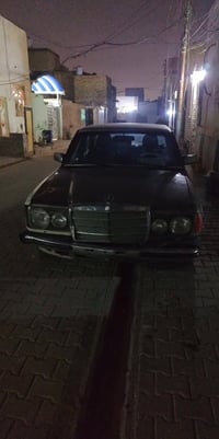 ابو جحيل للبيع ٣٥ 07885730066
