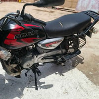 بوكسر • فحل • ٢٠٢٣