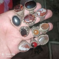 محابس • جملة • كربلاء