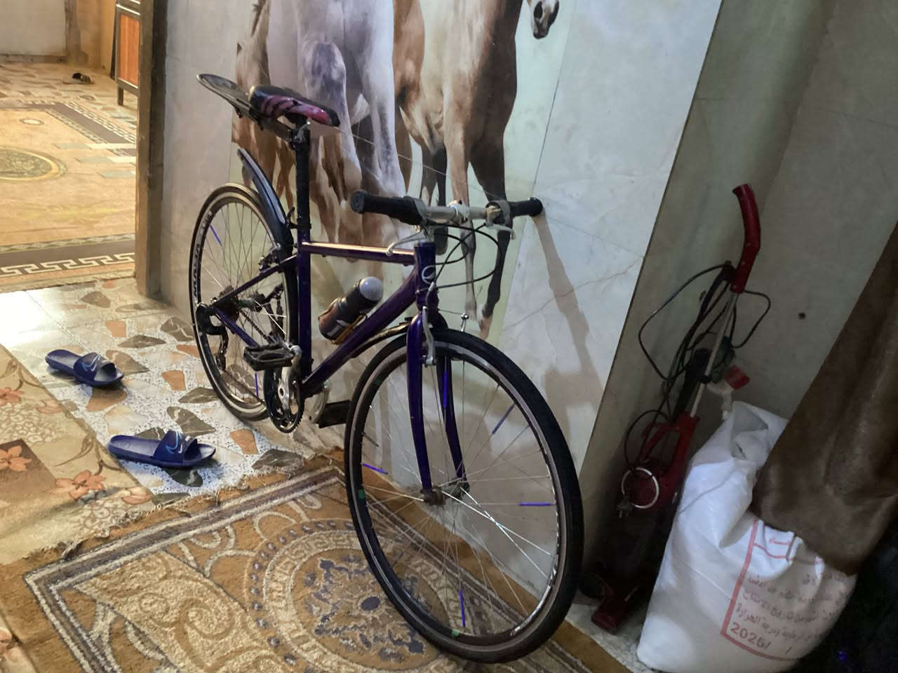 من رخصه الادمن بايسكل c700 كلش نضيف اللشه المنيوم الكير شغال ما بي اي نقص السعر 145 بي مجال التواصل *********** و خاص
