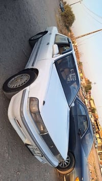 شيزر • مكفول مكينه • المقداديه