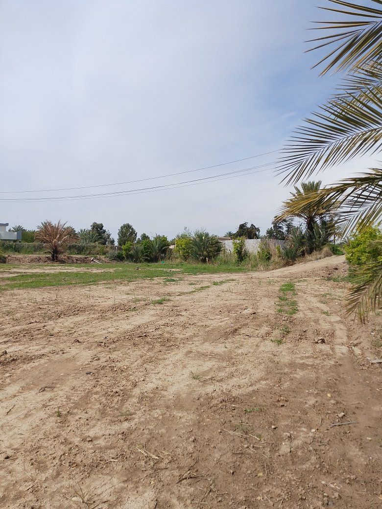 على بركة الله دونم ونص طابو زراعي سند 25للبيع شارع  وشط مع هيكل بناء طابوك واسط العزيزيه الدير ***********
