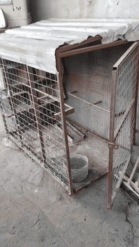 للبيع سعر٤٥ الف ***********
