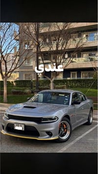 تخم ويلد • تايرات • كفاله للمراوس