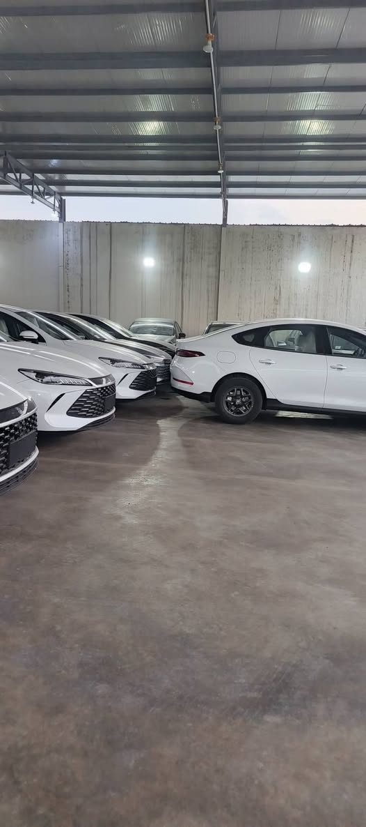 الاسعار جوه السووك 🔥
الديستروير 
الكن بلاص
سيل 5

 ويتوفر جميع انواع سيارات البي واي دي 
من قلب مخازن وساحات السيارات في اليوسفية 
للبيع المفرد والجملة

🥇مجمع معارض مدخل بغداد للسيارات
الاسعار اتصل وتدلل انسب الاسعار 

🔴بي واي دي دسترويرBYD موديل 2025 نار 🔥 
🔴بي واي دي كن بلاص BYD موديل 2025 🔥 
🔴بي واي دي سيل BYD موديل 2025 🔥 

الاسعار جدا مناسبه
        زورونا واهلا وسهلا بكم
يتوفر كافة انواع byd😍

___________________
مواصفات الكورلا 
فول الفول 
كرسي عادي 
شكل الامريكي وشكل خليجي
               
للاستفساراكثر اتصل على الأرقام التالية
🥰🥰🥰🥰☎️☎️☎️☎️

عزالدين الغريري
ادهم الغريري
***********
***********
***********
***********
📍الموقع بغداد اليوسفية قرب سيطرة 75
( مجمع معارض مدخل بغداد للسيارات)
(((معارض اليوسفية))) maps/waze 📍#BYD #bydبغداد #العراقيين
#BYDIraq
#يخيي
#متابعة
#BYD#. #بغداد
