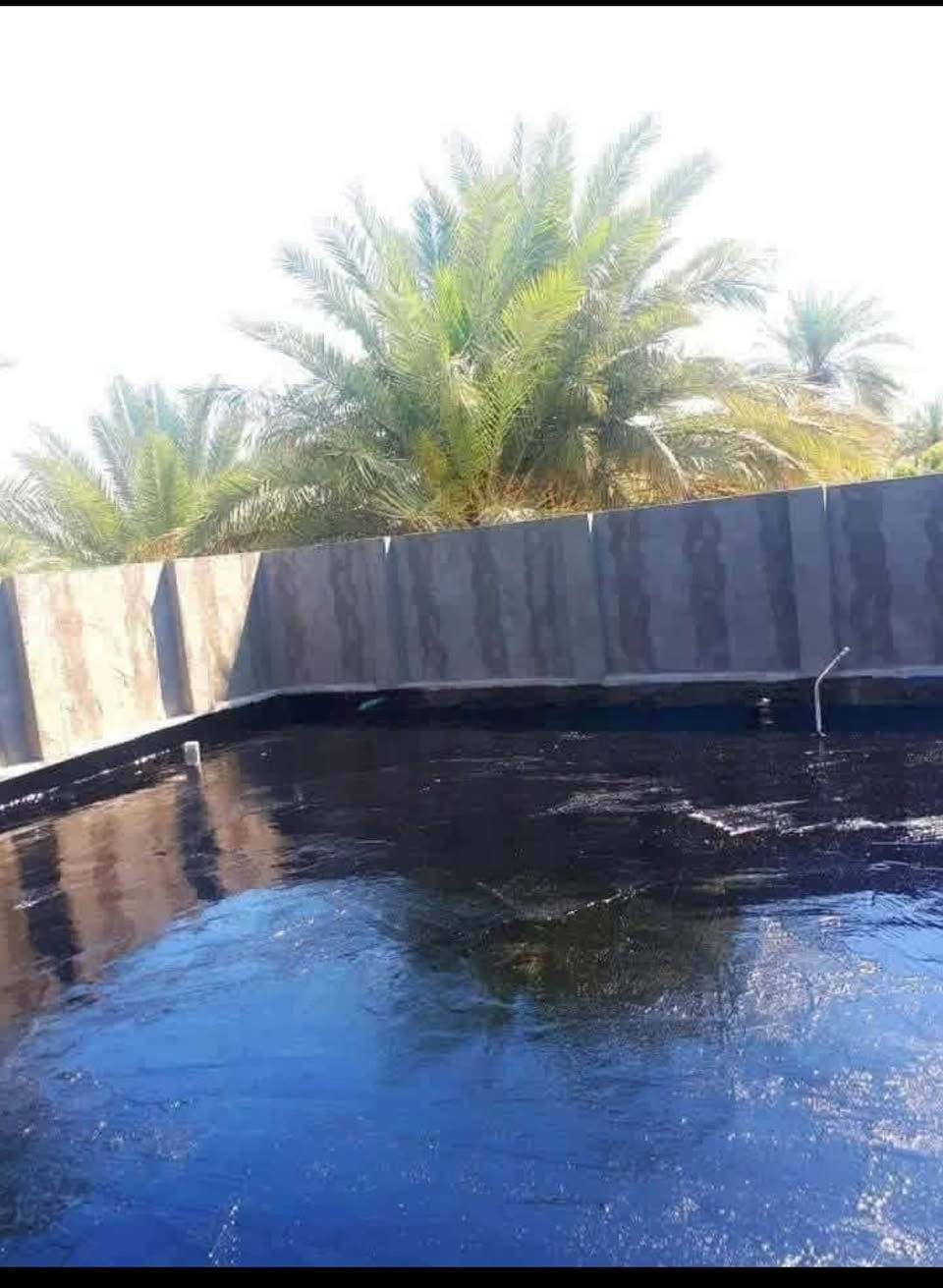 تعلن سكله ابو علي المنكوشي في كربلاء المقدسة عن استعدادها لعمل الشتايكر والكير على يد خلفات أكفاء ومواد درجه اولى للتواصل العنوان كربلاء حي العباس للاستفسار الاتصال فقط على الأرقام التالية
***********// ***********
