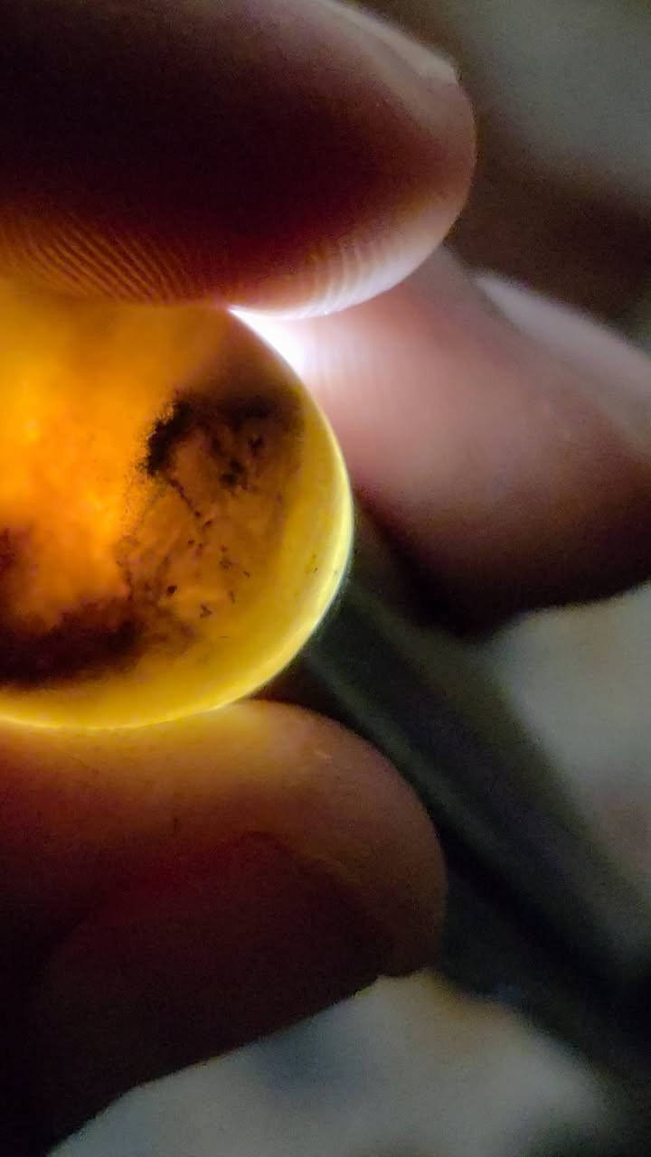 حجره سليمانيه مصوره ذيب واضحه جدن للبيع مكاني بغداد مدينه الصدر توصيل لا يوجد


**إذا كنت صاحب هذا الإعلان وتريد حذفه لأي سبب، رجاءا أرسل رسالة إلى الدعم الفني**