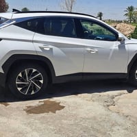 توسان خليجي مكفول  24 07729294085
