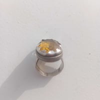 محبس • سترين