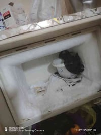 ٢ ثلاجات • شغاله • نقص غاز