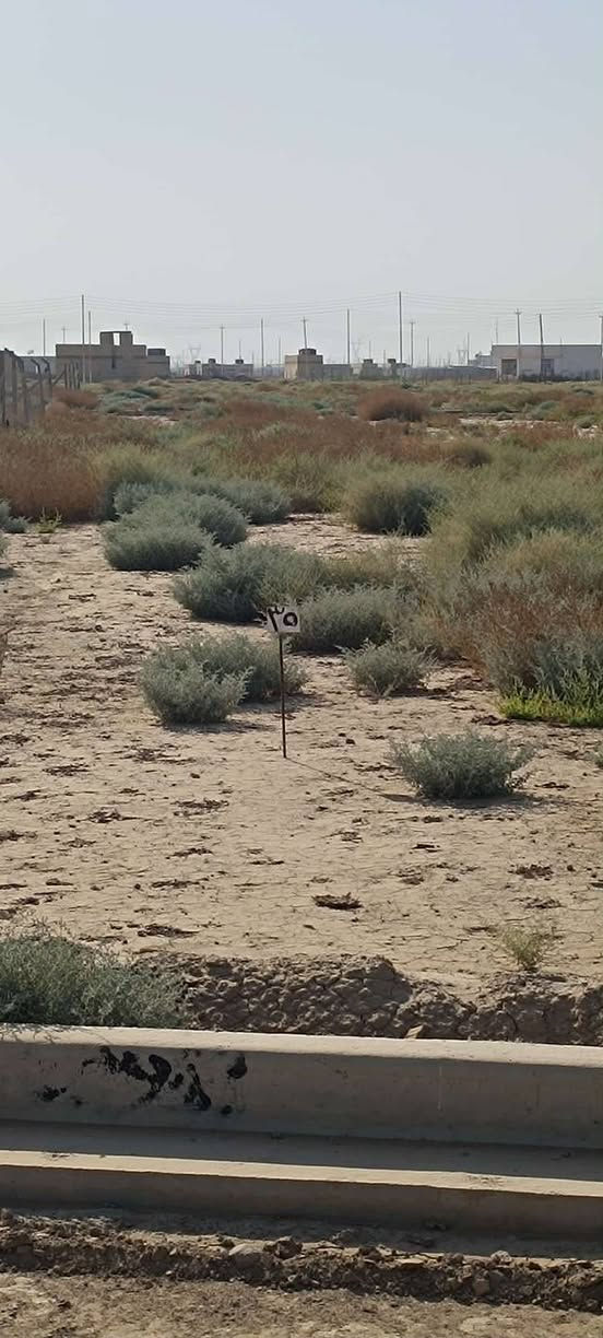 السلام عليكم قطعة 200 متر بالكاورية الثالثة سند 25,
واجهة 10 نزال 20 قريبة على شارع 40 فرق قطعتين عنه 
وتصير مقابل قطع الطابو صرف سعرها 15 مليون 
***********
