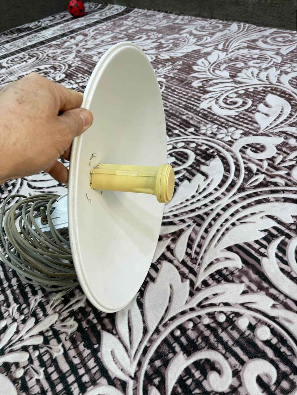 صحن انتريت مع الواير اصلي الصحن باب اول مكانه بغداد التاجيات قرب مرور التاجيات السعر 75 الف و بيه مجال / *********** / بغداد, العراق
