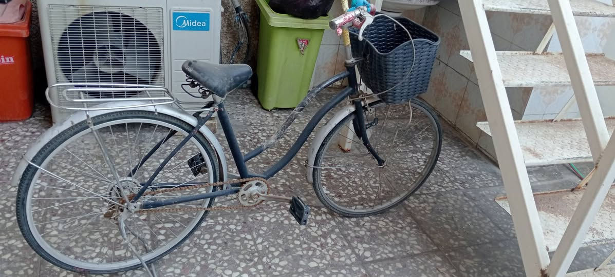 سلام عليكم 
بايسكل بطة حجم 26 
نضيف أمانة الله و رسولة 
بس عوزة  غسل و تنفخ التاير بربع 
كلشي شغال بي بريك أمامي و خلفي و ستاند و زنجيل و كلشي و مامتعوب رايدة ب90 الف و بي مجال مكان بغداد للاتصال ***********
