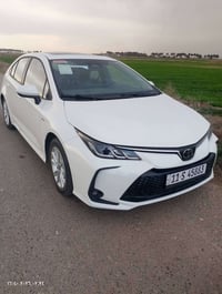 كورله 25ماشية اربعتالاف لبيع 07747988248