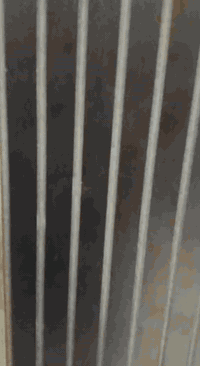 مكتب حلم للتطوير العقاري 
شقه مؤثثة للايجار بمليون تحتوي على غرفتين نوم وصاله وخدمات عنوان الشقه الاعضمية خلف حديقه نعمان عمارة ن والقلم للاتصال ***********
