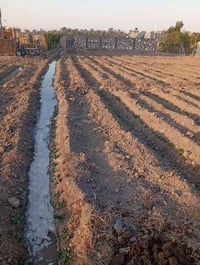 بابل الصياحيه • ١٠٠٠م • طابو سند