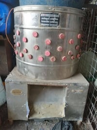 هلاسة دجاج • حجم وسط • ناصريه الاسكان الصناعي