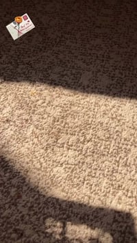 عروض الصفحة • عروض حلوة • ديكور منزلي