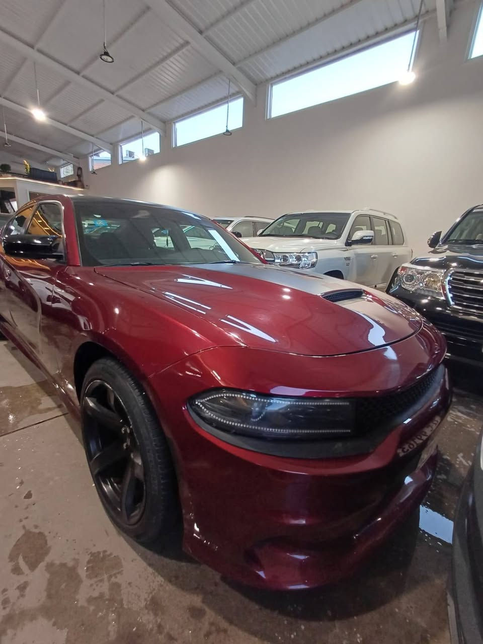 🚗 أقساط بدون كفيل ⏰
استلام فوري – بدون ماستر كارد

⭐️ المقدمة: من 60 ورقة صاعداً
💵 الأقساط: من 400$ شهرياً وصاعدا (حسب نوع السيارة)
🛑 بدون ماستر 🔹 بدون حجز مصرف 🔹 للموظف والكاسب
🔄 يتوفر أيضاً نظام مراوس + الباقي أقساط

📍 العرض حصراً لسكنة بغداد – معارض البياع
📩  وتواصل احجز سيارتك اليوم 🚘
📞 للاستفسار: ***********
