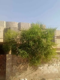 حي جبيل • الفلوجه الانبار • ٢٥٠م