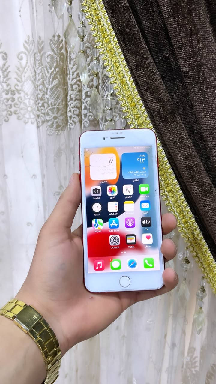 للبيع ايفون 7 بلاص ❤️،
مبدل بطاريه اصليه فول 

ذاكره 128 

نموذج m

بي ضرر خفيف بل شاشه   🖤،

سعر خاص او مرواس حسب القناعه

عنوان / تكريت التوحيد ***********
