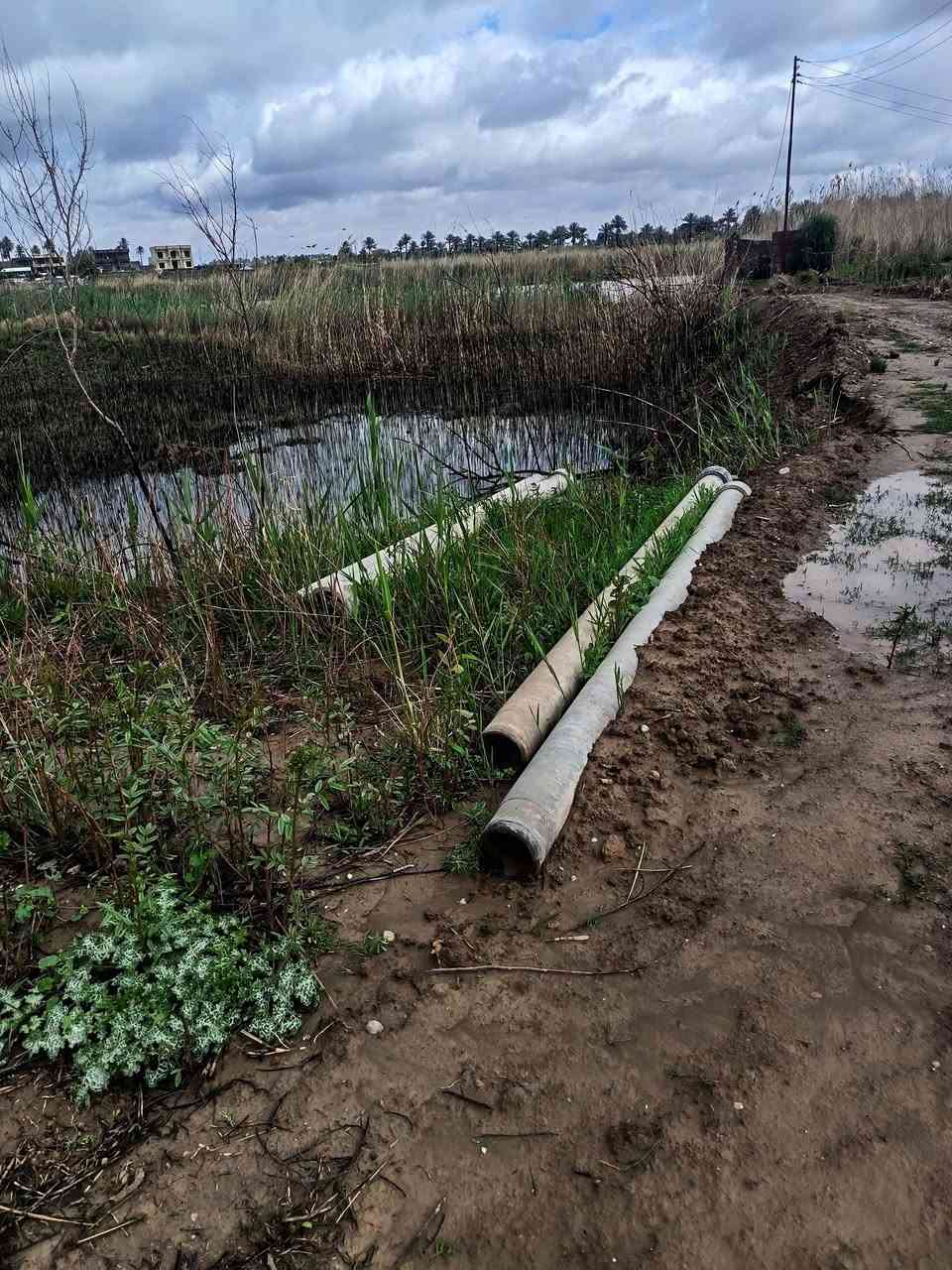 سلام عليكم للبيع بواري ابو ٦ اسبست جدد ١٠ بواري مكاني الضلوعيه ***********
