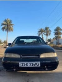 برنس • جاهزه • بغداد