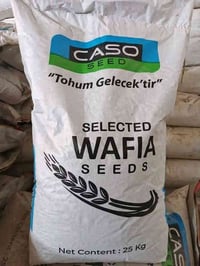 حنطة الوفية التركيا ستندر موجود 35 طن شراي اتصل 07762374570/0777030652...