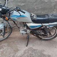 دايون عظم 2020 للبيع  07742363486