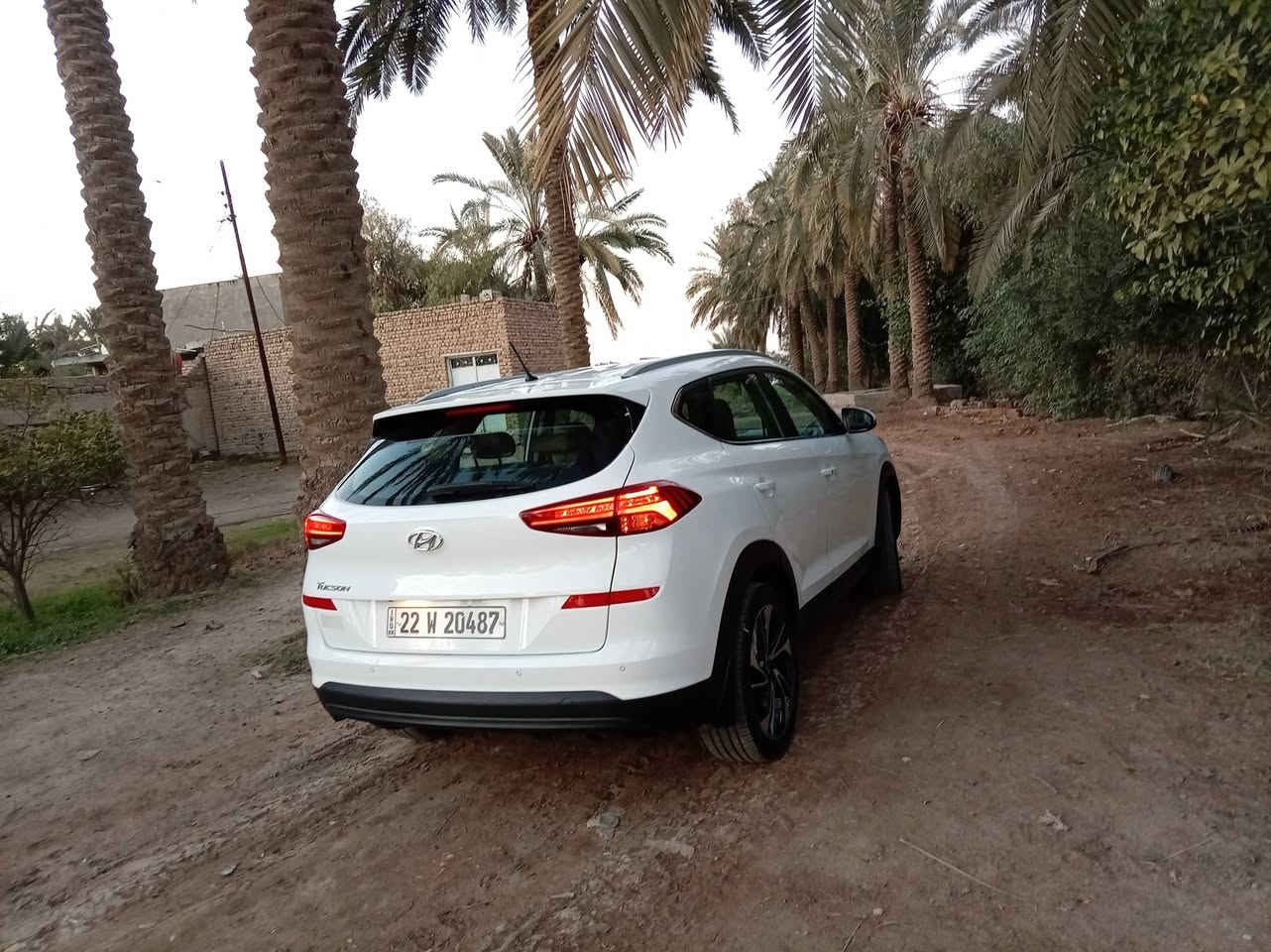 السلام عليكم للبيع توكسون 2019 خليجي رقم أربيل مكفولة كفاله عامه
محرك 20دوش 
مواصفات لد امامي
حساسات
بصمه مراي شفط
يدات نيكل
كشن امامي كهربائ
السياره بدون صبغ
 تريد تحويل تريد وكاله 
 
مكانها بابل الحمزة الغربي عليه السلام 
للاستفسار الاتصال على الرقم الموجود ***********
