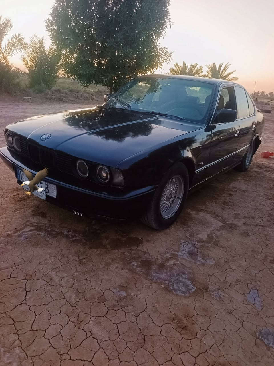 بيام البيع ***********
