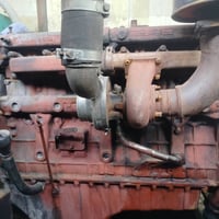 مولده افيكو • ٣٧ كيلو • رأس توليد ٣٥٠