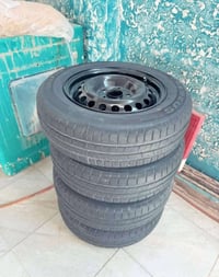 تخم ويل اصلي • تاير ١٦ • بابل